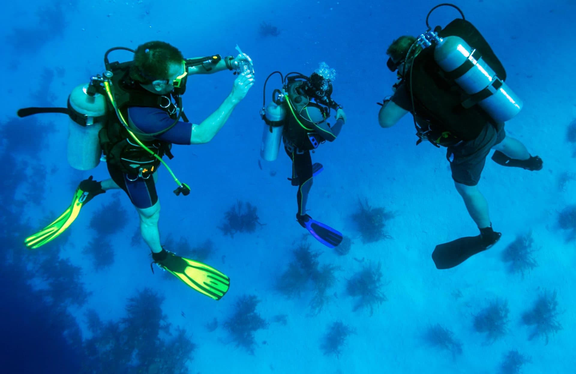 DeepDiveMexico – Die familiäre Tauchschule Playa del Carmen