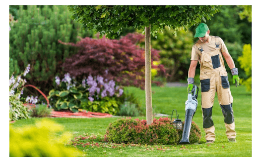 5 effektive Möglichkeiten, Ihren Garten zu pflegen