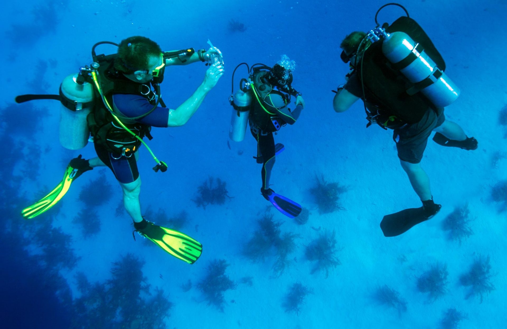 DeepDiveMexico – Die familiäre Tauchschule Playa del Carmen