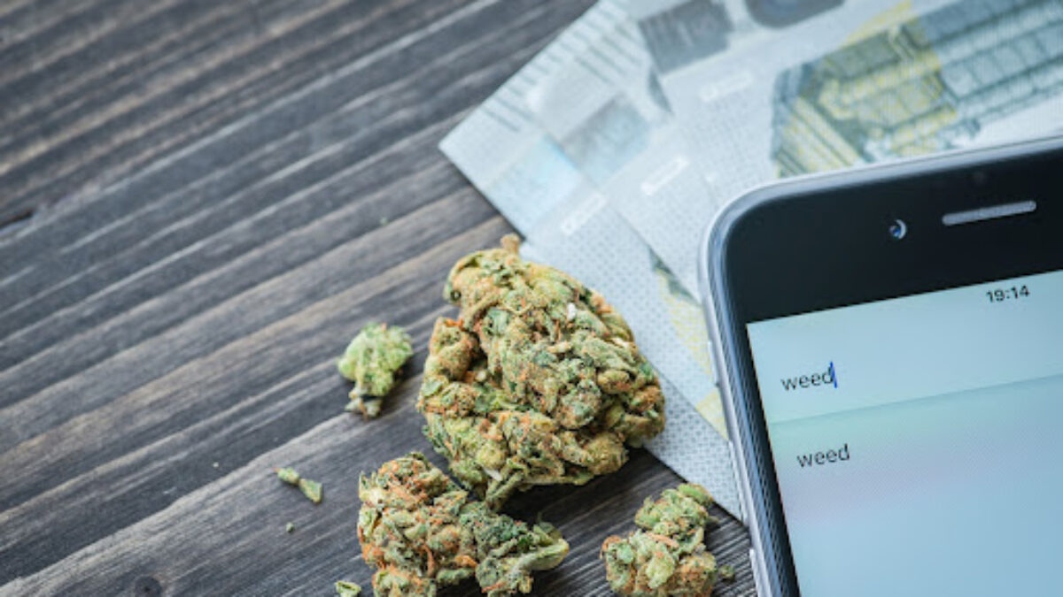 Die Geschichte von Cannabis Sativa: Ursprung und Entwicklung