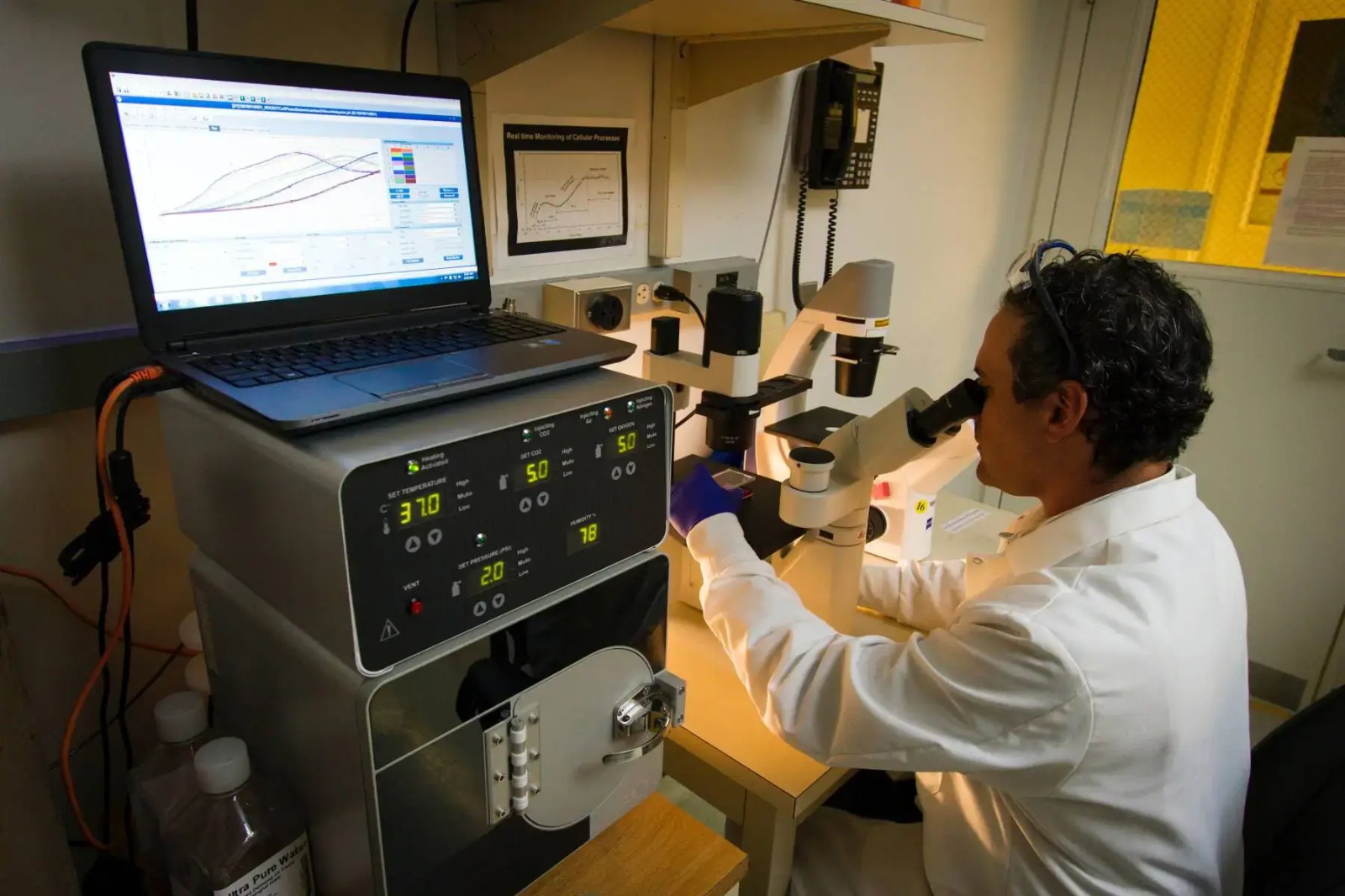 LIS: Softwareloesungen fuer moderne Labormedizin