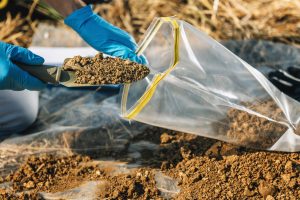 soil-testing-agronomy-inspector-taking-soil-sampl-2021-08-26-16-53-52-utc-scaled
